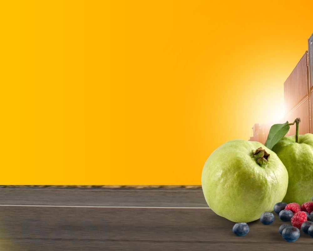 Web banner able 11 , 12, 13 (17)